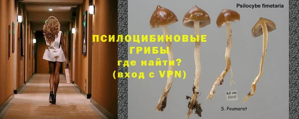 бошки Богданович
