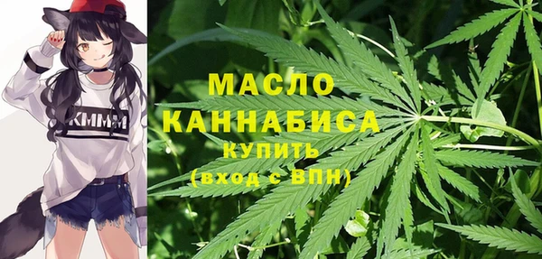 ECSTASY Богородицк