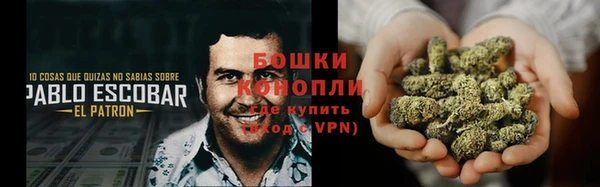 ECSTASY Богородицк