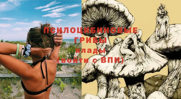 ECSTASY Богородицк