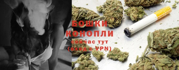 бошки Богданович