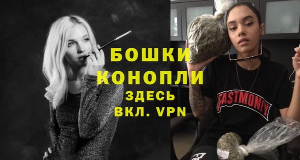 ECSTASY Богородицк