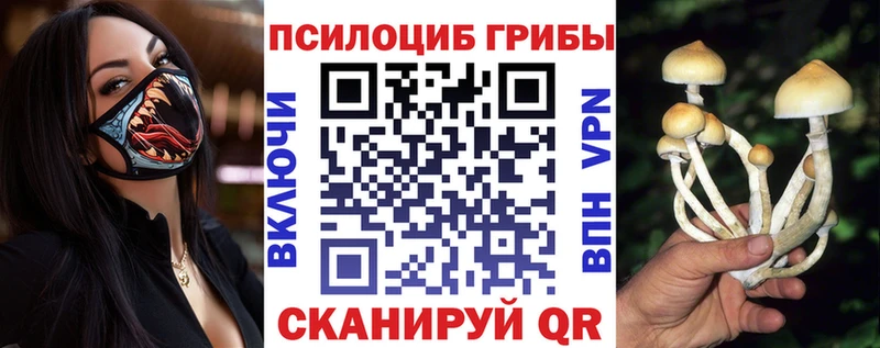 Псилоцибиновые грибы Cubensis  Артём 